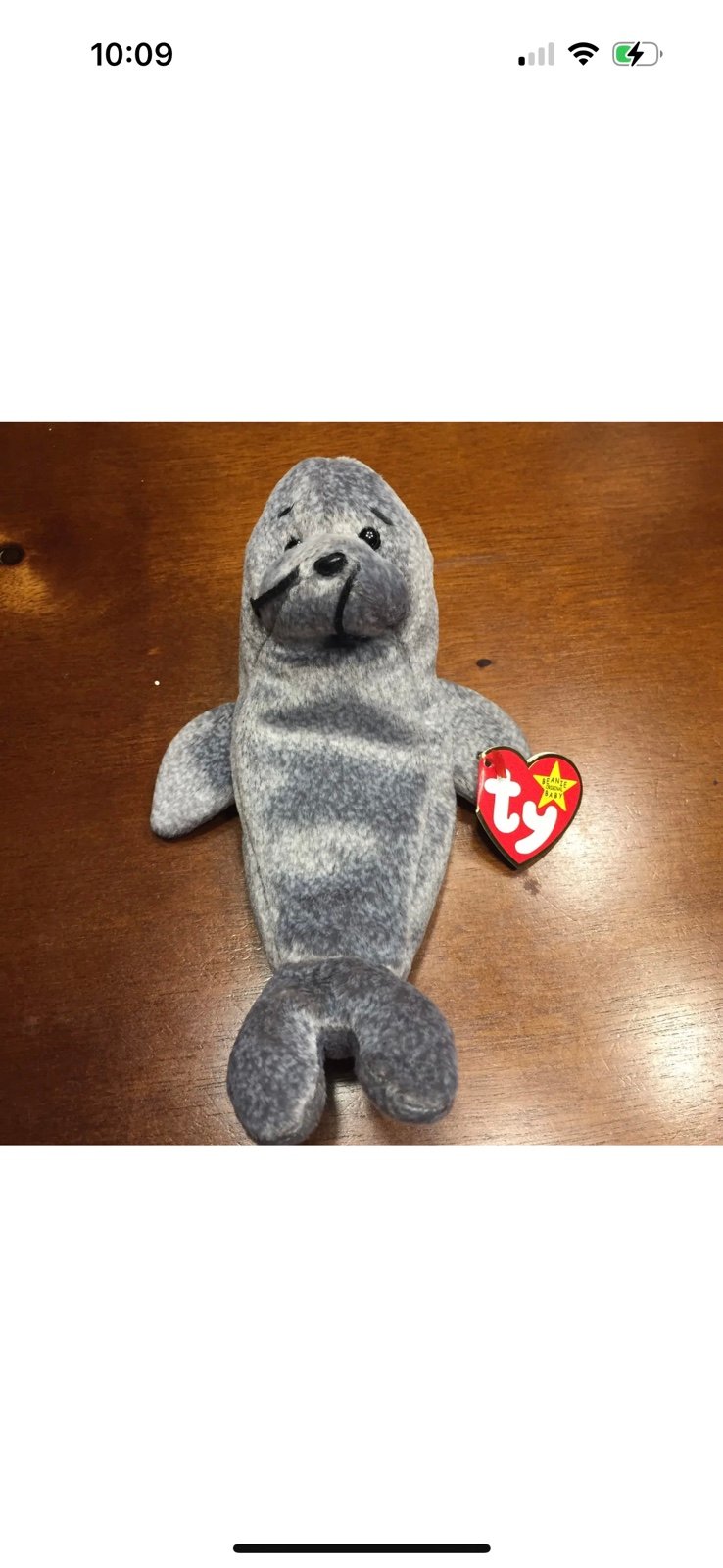 TY Beanie Baby “Slippery” the Seal Gasport 1998 & 1999 - Retired MINT Errors