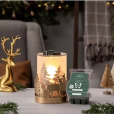 Nature’s Wonders Scentsy Scent & Warmer | December 2021