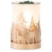 Nature’s Wonders Scentsy Scent & Warmer | December 2021
