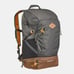 Decathlon Quechua NH500, Hiking 30 L Backpack, Unisex