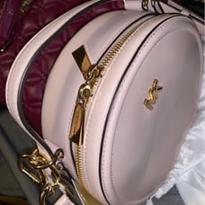 Michael Kors Delaney Canteen Round Messenger Soft Pink Purse NWT