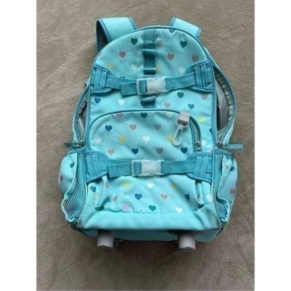 Pottery Barn Kids roller backpack & lunch pale