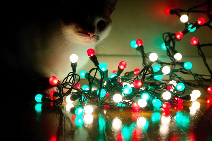 Christmas Lights Indoor 19FT 70 LED Outdoor String Lights
