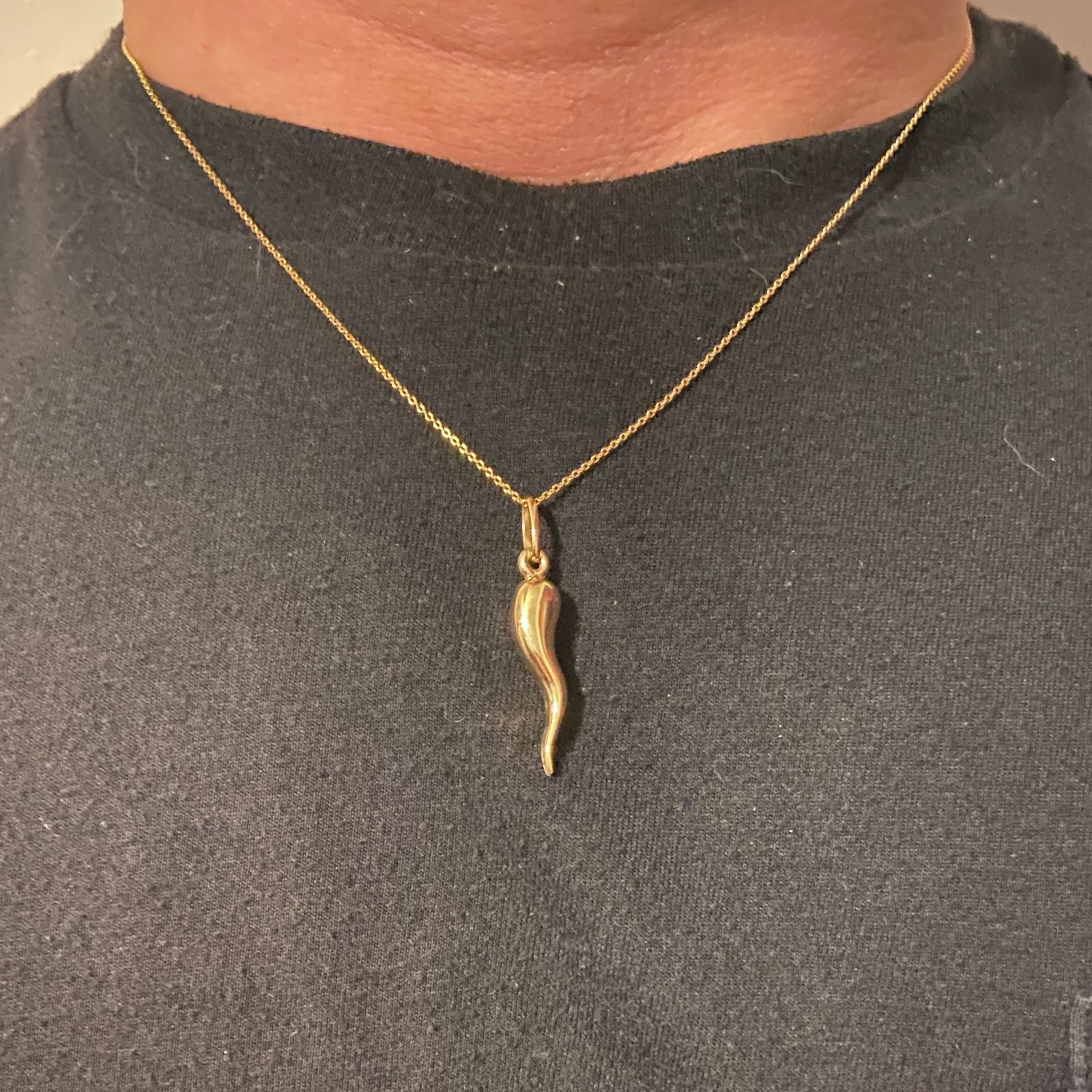 Solid Real 14k Gold Italian Horn Pendant and Chain Set