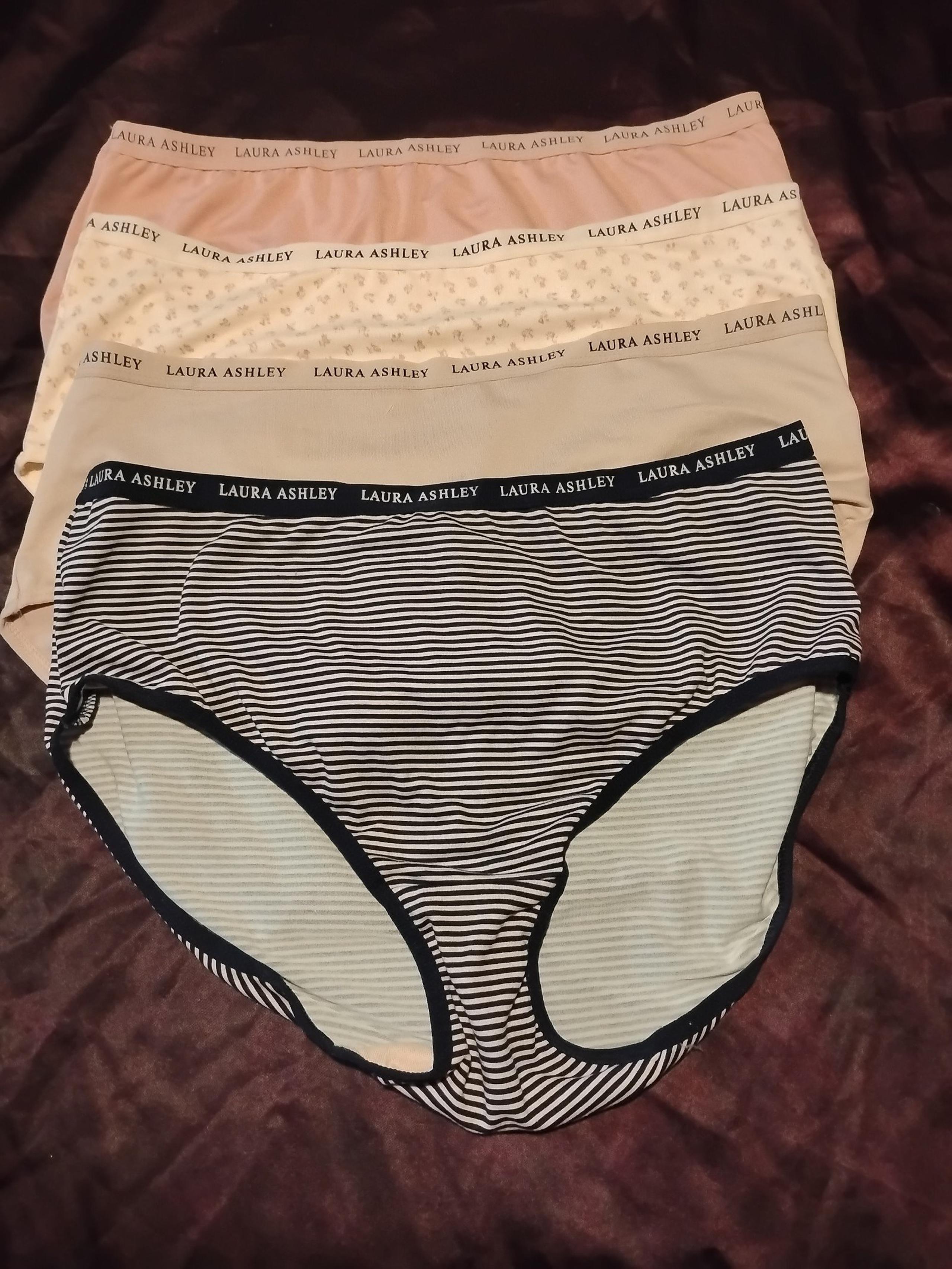 LAURA ASHLEY 4 Pk Women  XL Microfiber Brief Panties  Pink Beige Cream blue