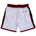Death Row Records Men's Headgear Classics Embroidered Mesh Basketball Shorts