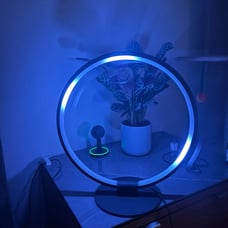 Ring light