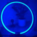 Ring light
