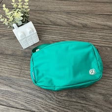 Everywhere Belt Bag