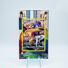 Charizard TG03 Custom Display Case for Pokémon Card