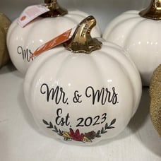 Mr and Mrs est 2023 fall pumpkin
