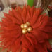 Red beauty with gold center.