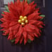Red beauty with gold center.