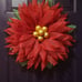 Red beauty with gold center.