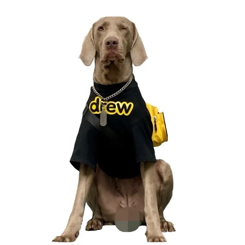 K9 Drew T shirt Special Edition, Black/Yellow with Bag