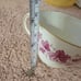Royal crown derby