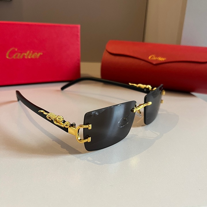 fashion sunglasses
