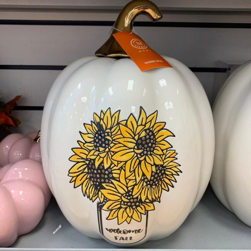 Martha Stewart Sunflower Pumpkin !