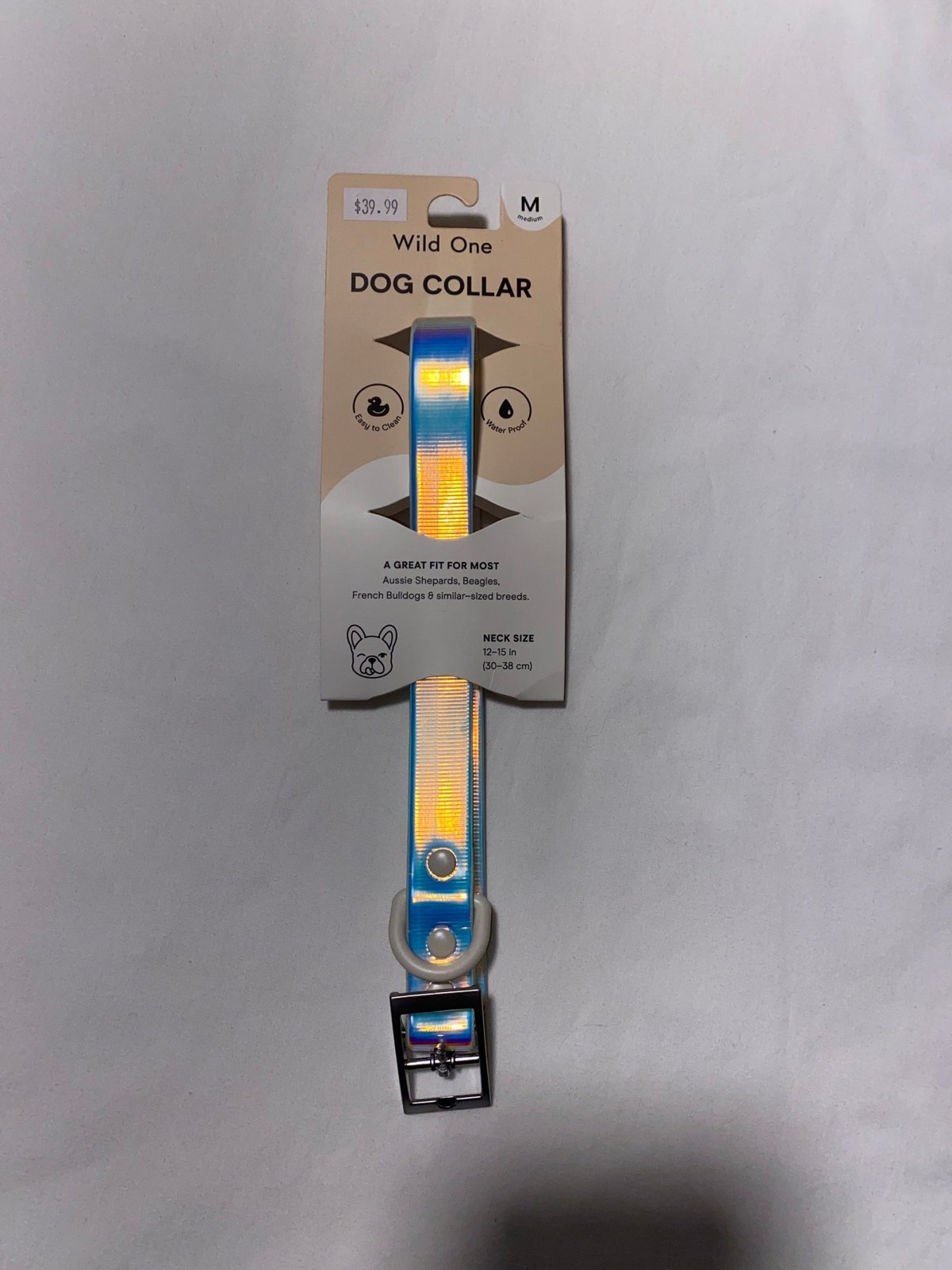 Wild one holographic dog collar ( M) 12-15in