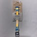 Wild one holographic dog collar ( M) 12-15in