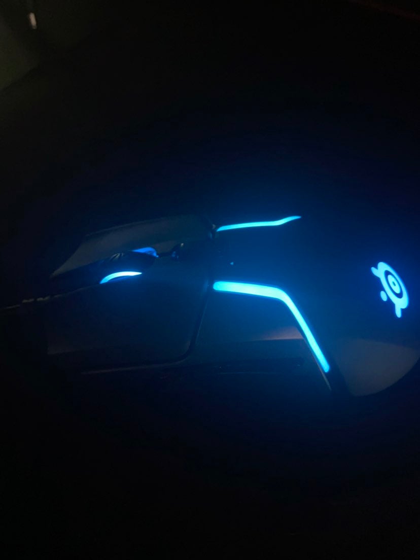 steelseries rival 600