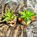 Horror Jason and Pennywise Faux Plant Planters