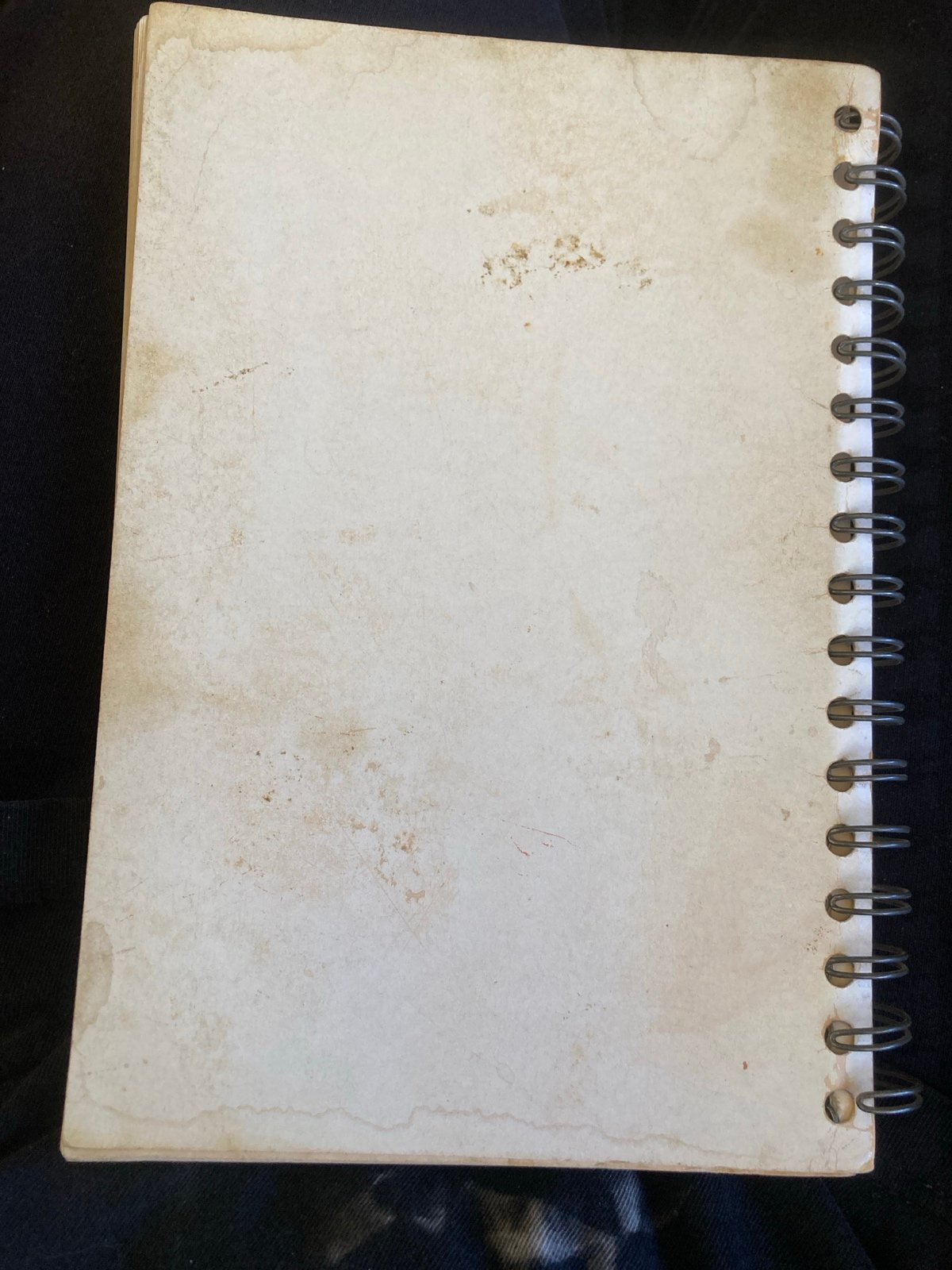 Quantity Recipes (Food Preparation) Spiral Bound Marion Wood 1966 rev. Cornell - detail