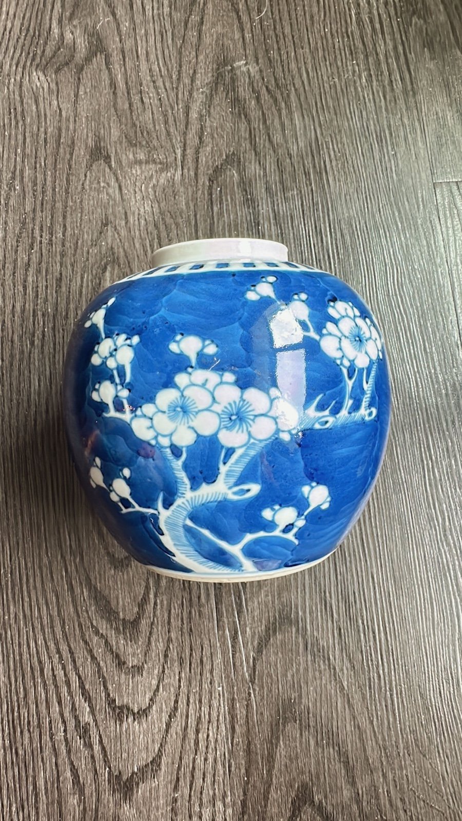 18th century winter plum porcelain jar