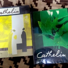 Cathelin Lithographer 1&2 1957-1982