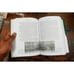 Rising on the River: St. Louis 1822 to 1850 Population Migration Hodes HC DJ