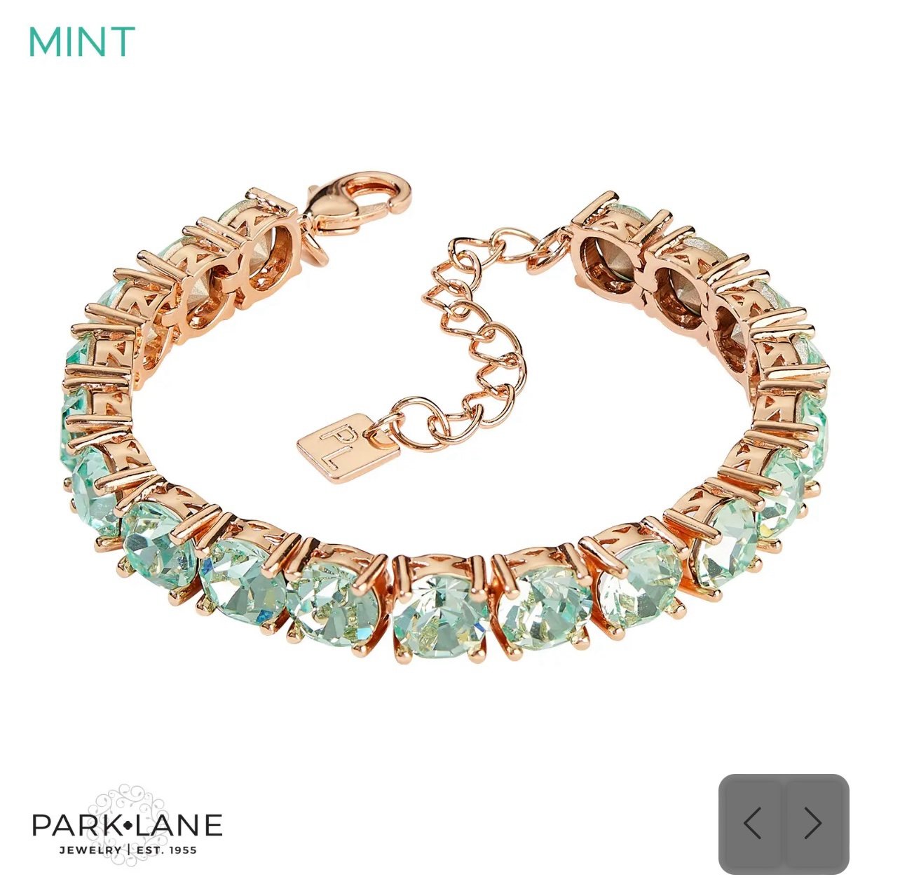 Park Lane Mint Impression Bracelet! BNIB!!