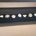 Seashell Shadow Box