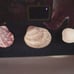 Seashell Shadow Box