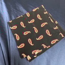 BEAMS PLUS Pocket Chief Paisley Print