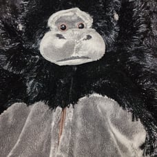 4/6 Gorilla Costume