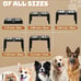 Dog Feeder with 2 Stainless Steel Bowls &1 Slow Feeder Dog Bowls, 5 Heights.