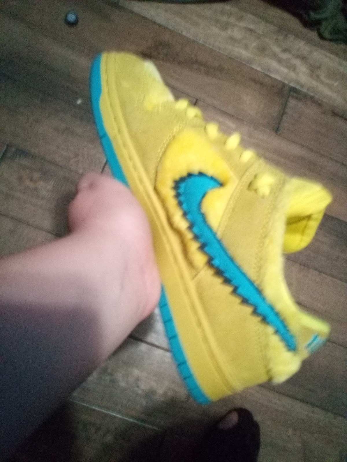 Nike sb lows