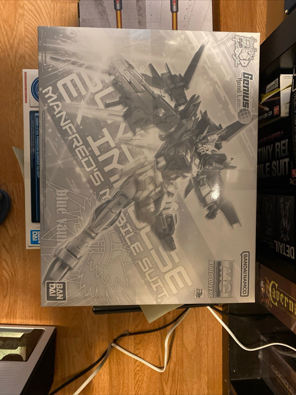 MG 1/100 Gundam Ex-Impulse Plastic model kit P-BANDAI limited