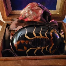 Belt Buckle and Box Set