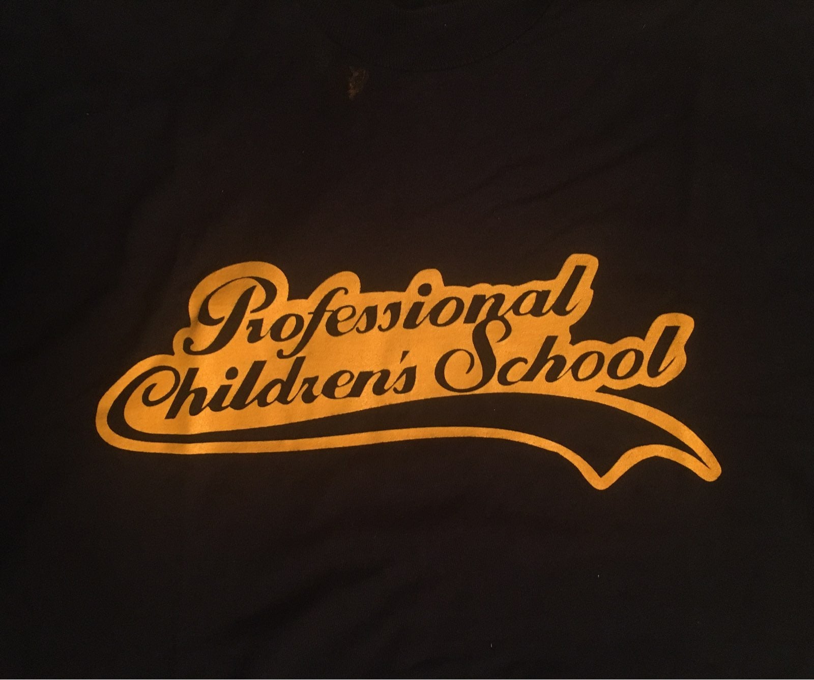 Professional Children's School T-Shirt