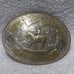 1981 Far West Paint Horse Classic High Point Jr Horse Broken Horn Buckle VTG