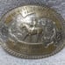 1981 Far West Paint Horse Classic High Point Jr Horse Broken Horn Buckle VTG