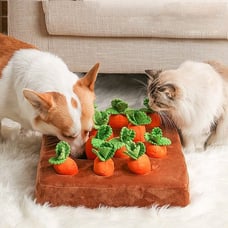 Dog Carrot Farm Toy
