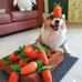 Dog Carrot Farm Toy