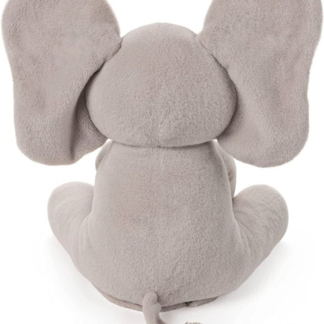 flappy the elephant video