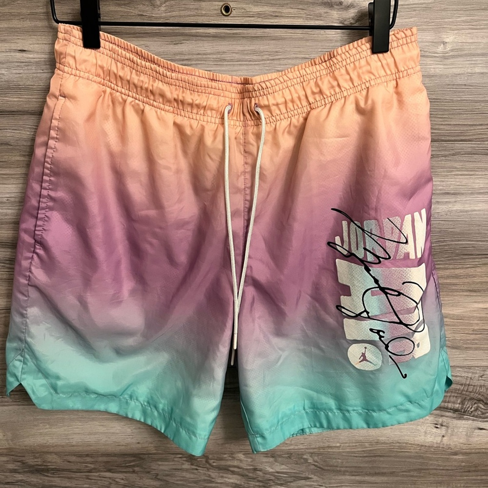 Air Jordan Mens DNA Pool Shorts Purple Green Ombre Drawstring Standard Fit