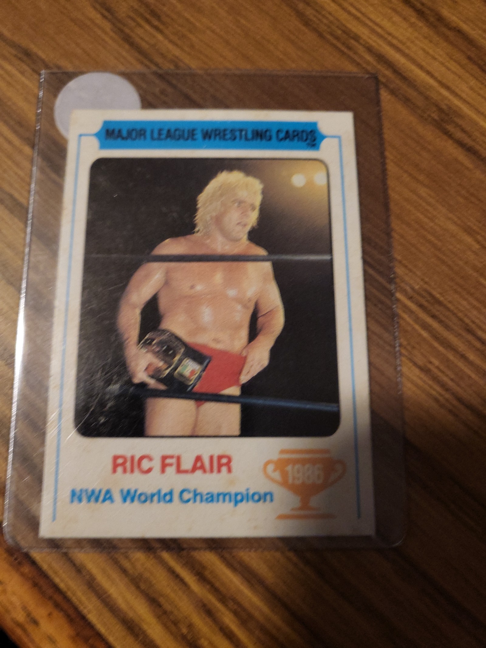 Wrestling Card