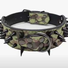 Pet Leather Studded Adjustable Collar, Small