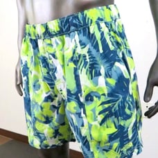 The North Face Men’s Swim Trunks