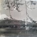 Mount Fuji Photo Prints Black White Landscape 11x17.5 Mountain Japan Fuji-san